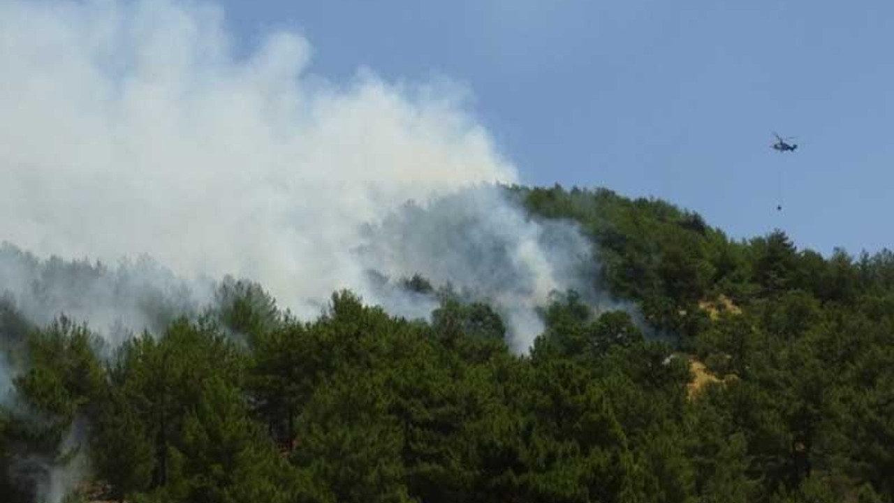 Hatay ve Mersin'de dün başlayan orman yangınları devam ediyor