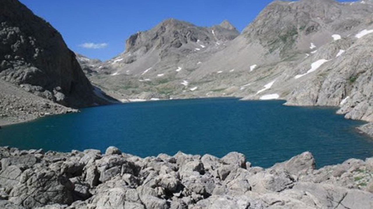 Dersim'de Çinli turiste ayı saldırısı