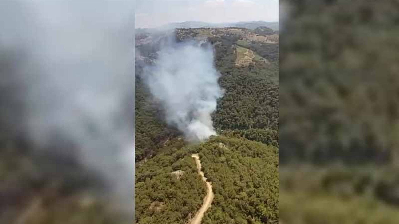 İzmir'in Güzelbahçe ilçesinde orman yangını