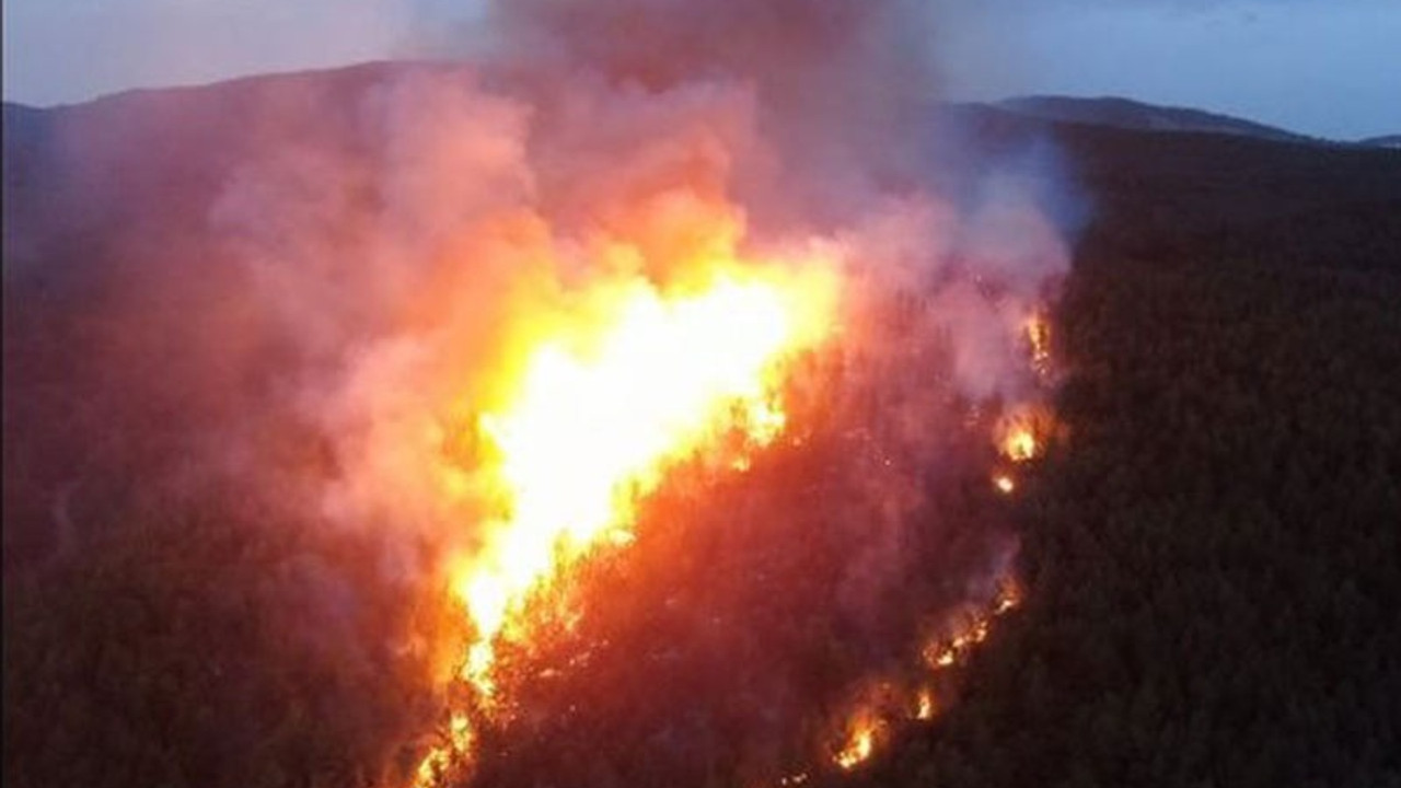 Muğla'da orman yangınıyla ilgili gözaltına alınan şüpheli tutuklandı