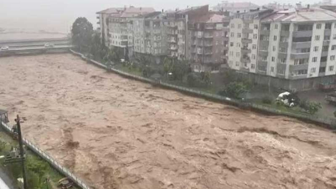 Düzce, Rize ve Artvin'de bazı bölgeler 'afet bölgesi' ilan edildi