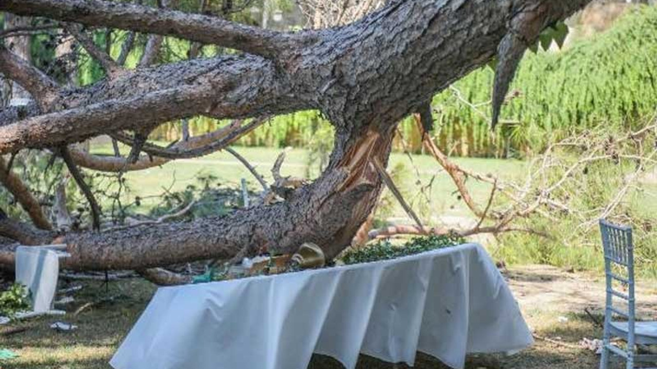 Kır düğününde bir kişinin öldüğü restoranın işletmecisi: İhmal yok