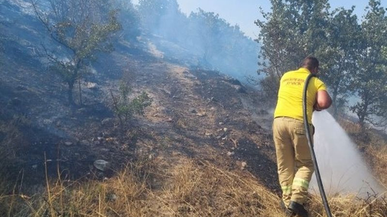 Çanakkale'de orman yangını: 10 hektar alan zarar gördü