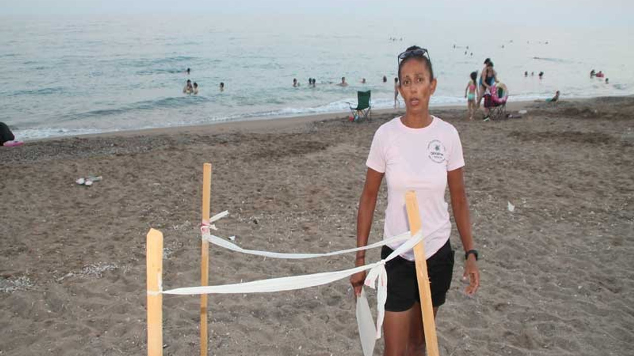 Caretta yuvasındaki koruma çıtalarını gölgelik yaptılar