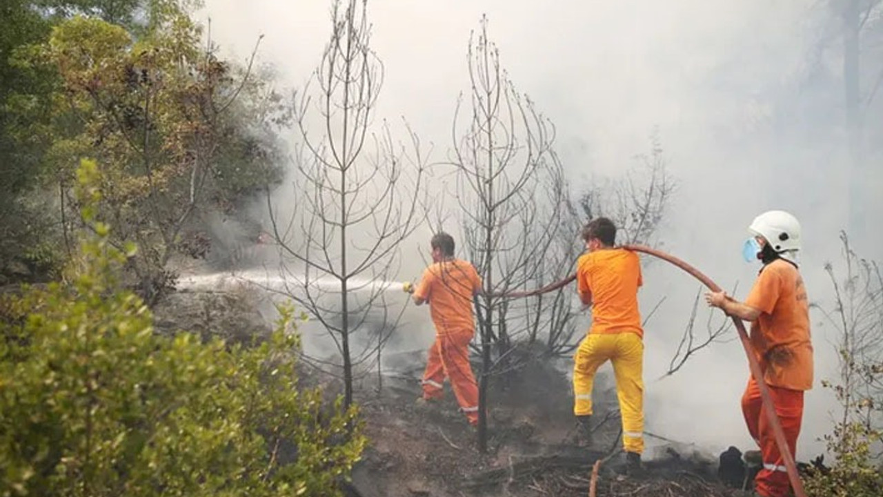 Alanya'daki yangın söndürüldü, 4 hektar orman kül oldu