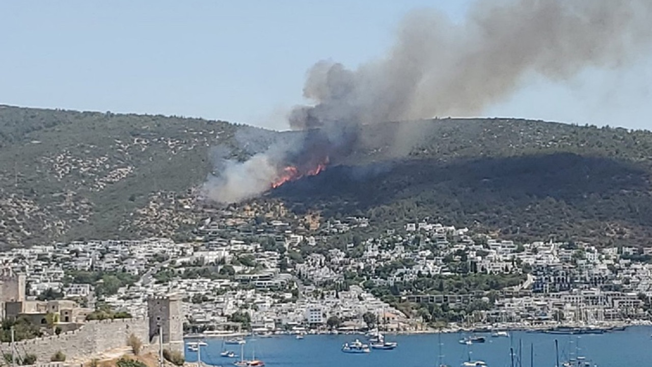 Bodrum'da bir yangın daha