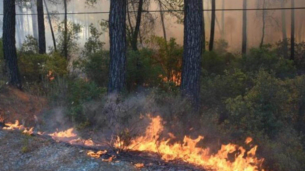 Marmaris'teki yangın nedeniyle karayolu ulaşıma kapatıldı