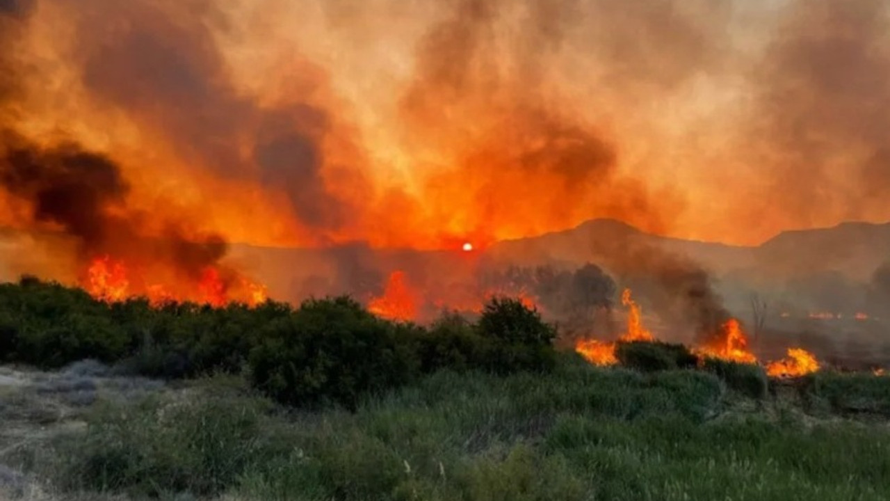 Nallıhan Kuş Cenneti’nde yangın çıktı