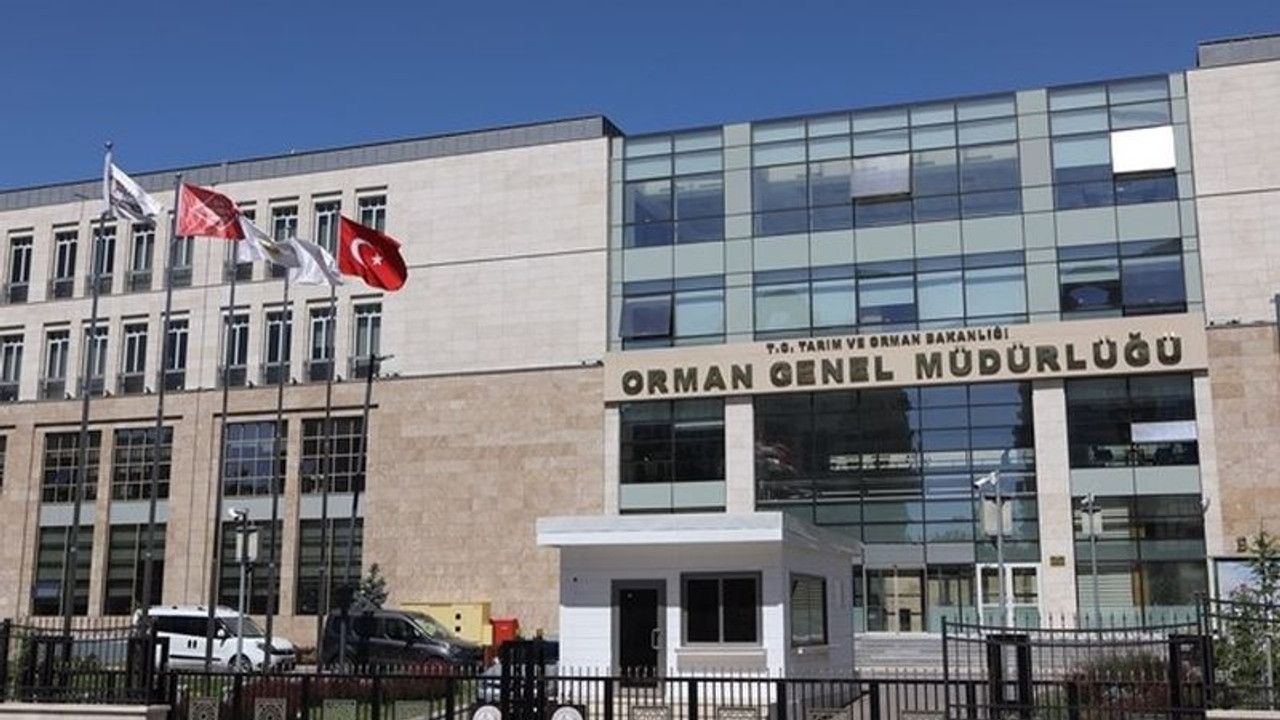 Orman Genel Müdürlüğü'nün orman yangınları için ayırdığı bütçenin yüzde 98'ine ne olduğu bilinmiyor