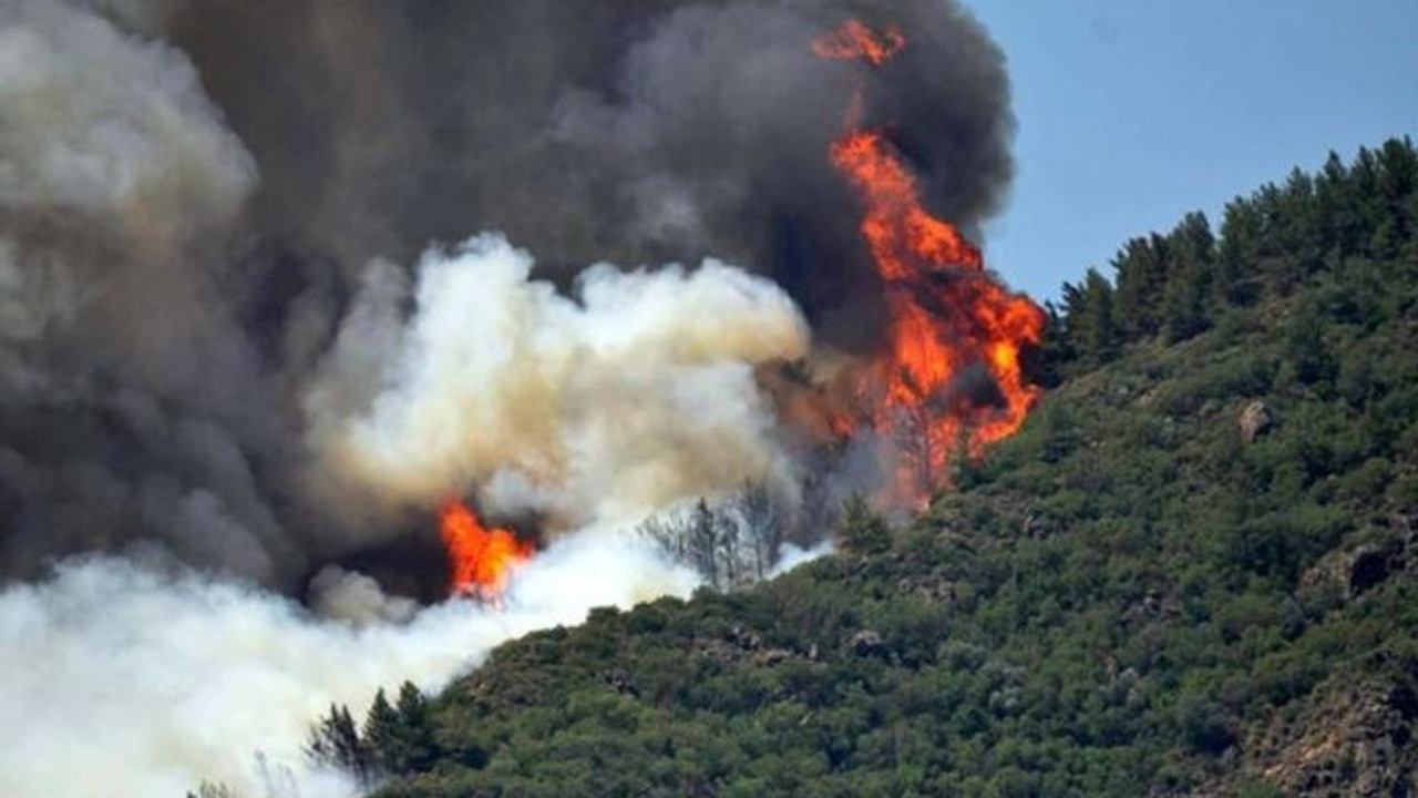 Muğla milletvekilleri yangın izlenimlerini anlattı: Ormanlarda hiçbir canlı kalmadı, müdahale çok yetersiz