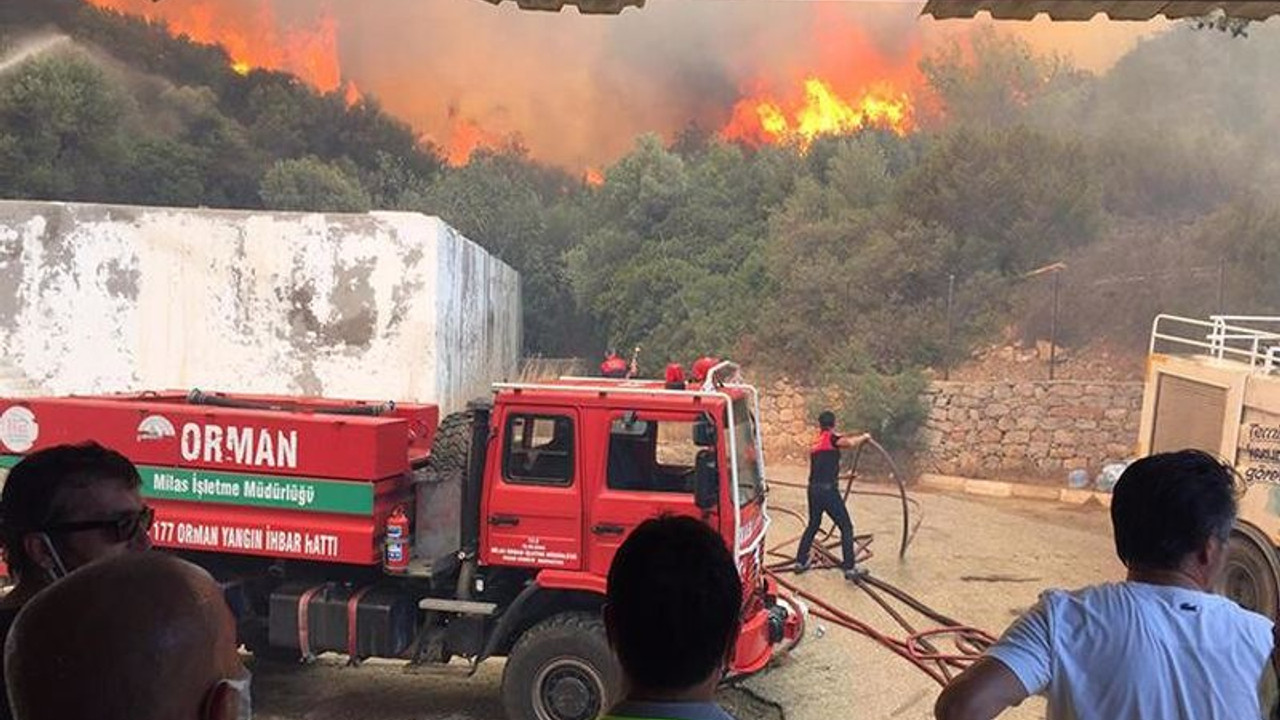 Orman Bakanı Pakdemirli, hangi illerdeki yangınların kontrol altına alındığını açıkladı