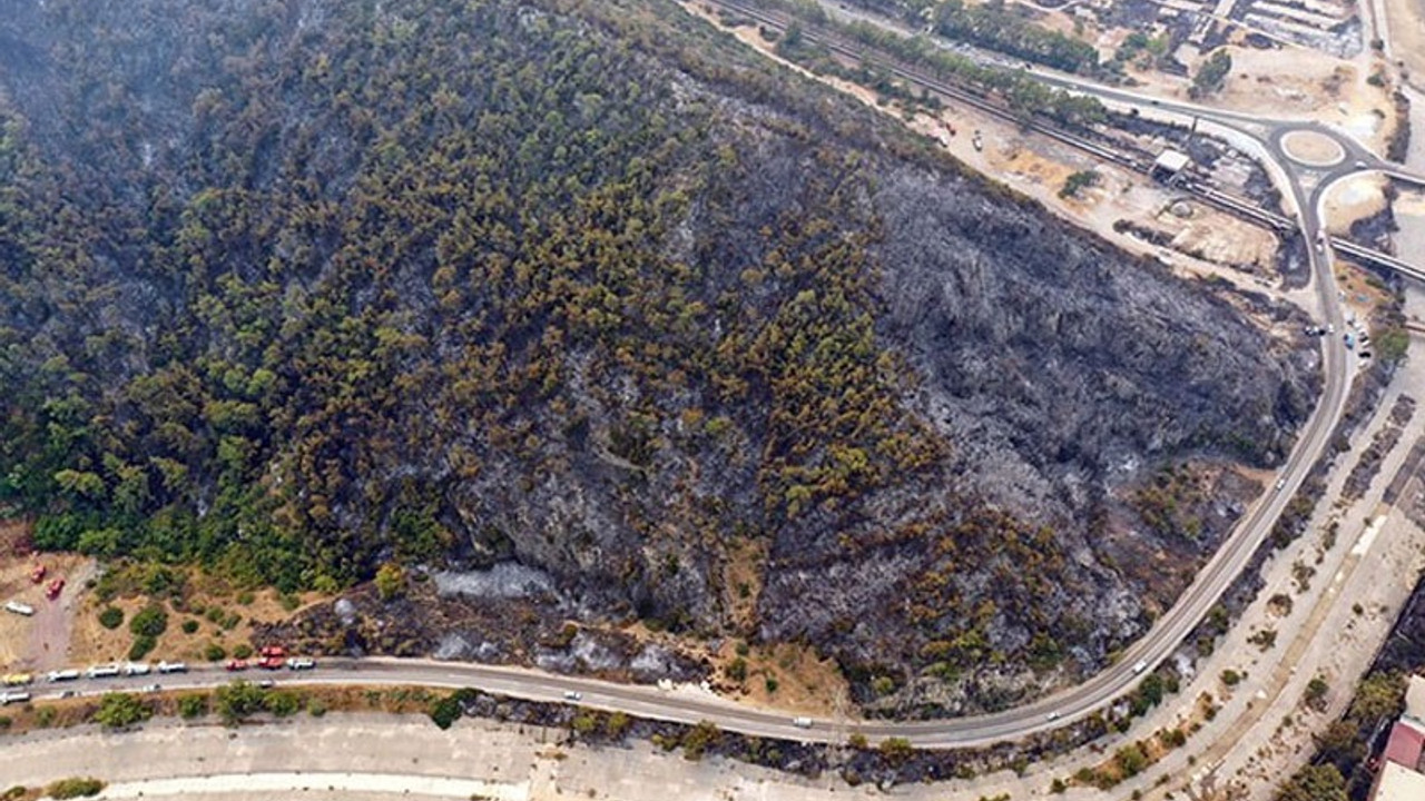 Kara Harp Okulu Dekanı Yıldız da isyan etti: Bir helikopteri, bir uçağı vermediler