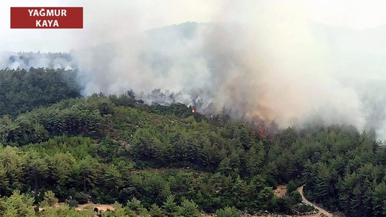 Köyceğizliler: Yangına bir tane su damlatan yok