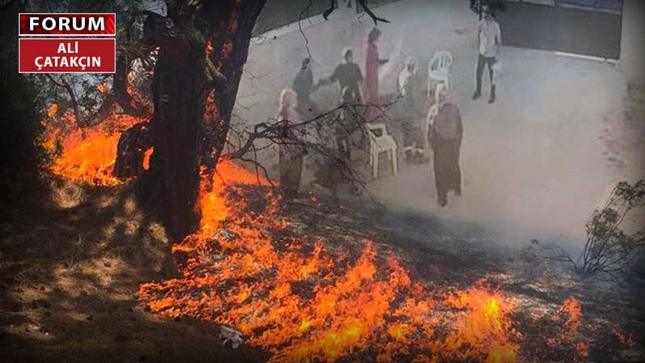 Orman yangınları ve Türk ırkçılığı