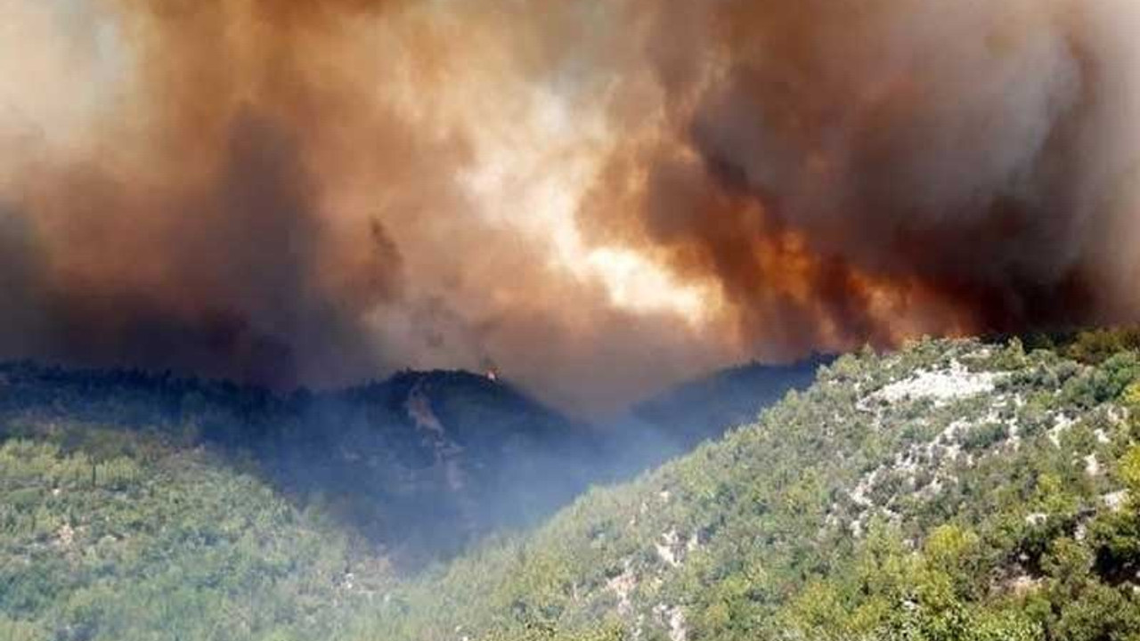 Orman yangınlarında son durum: 44 ilde 197 orman yangını çıktı, 185 kontrol altında