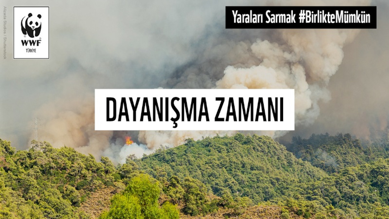 WWF-Türkiye'den orman yangınlarına helikopter desteği