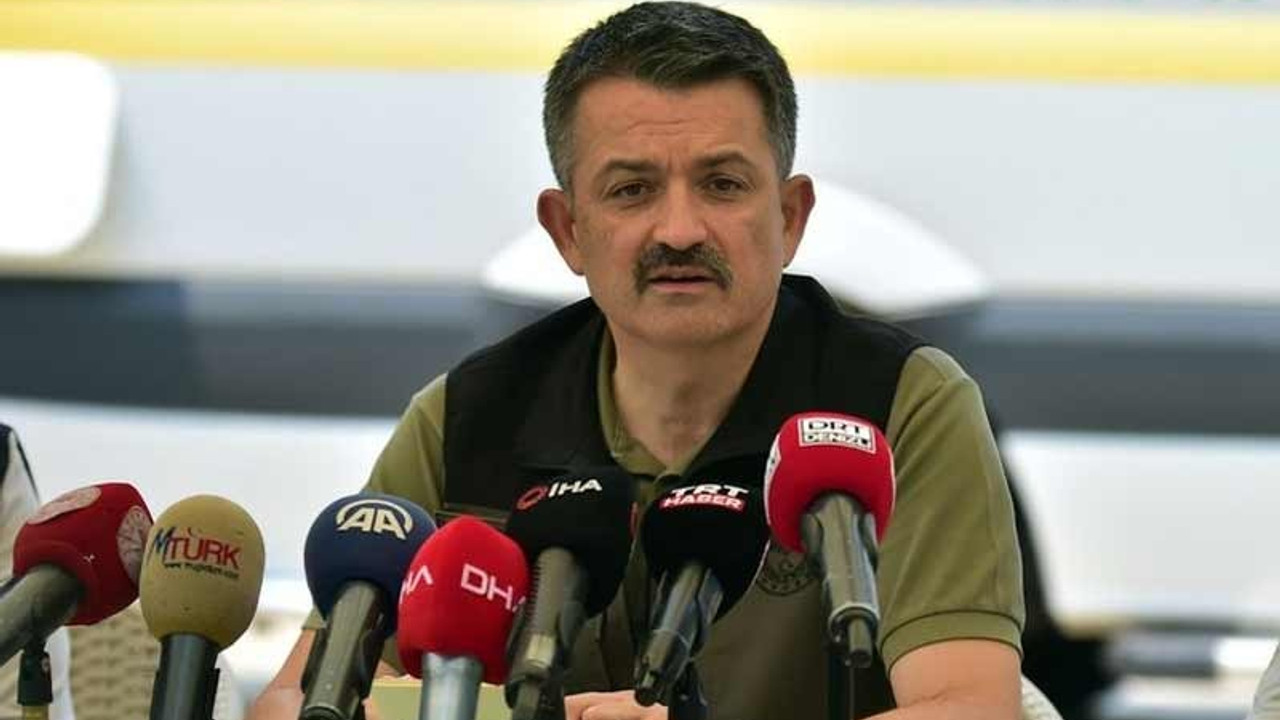 Pakdemirli: Milas ve Köyceğiz dışındaki tüm yangınlar kontrol altına alındı