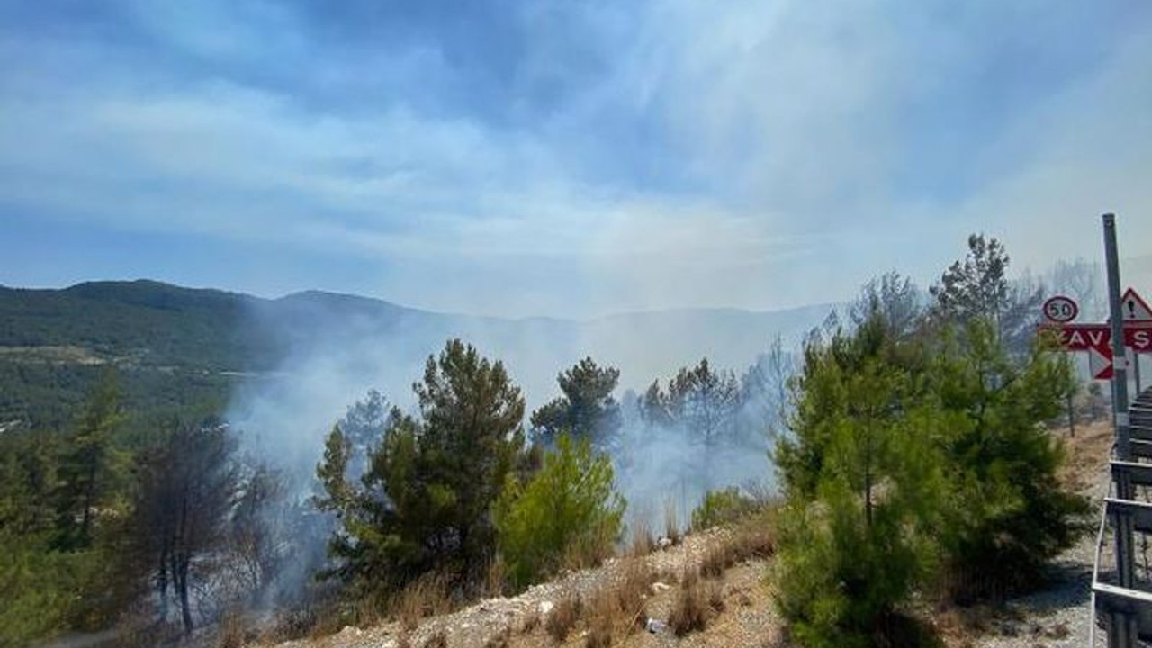 Antalya Akseki'deki orman yangınıyla ilgili bir kişi tutuklandı