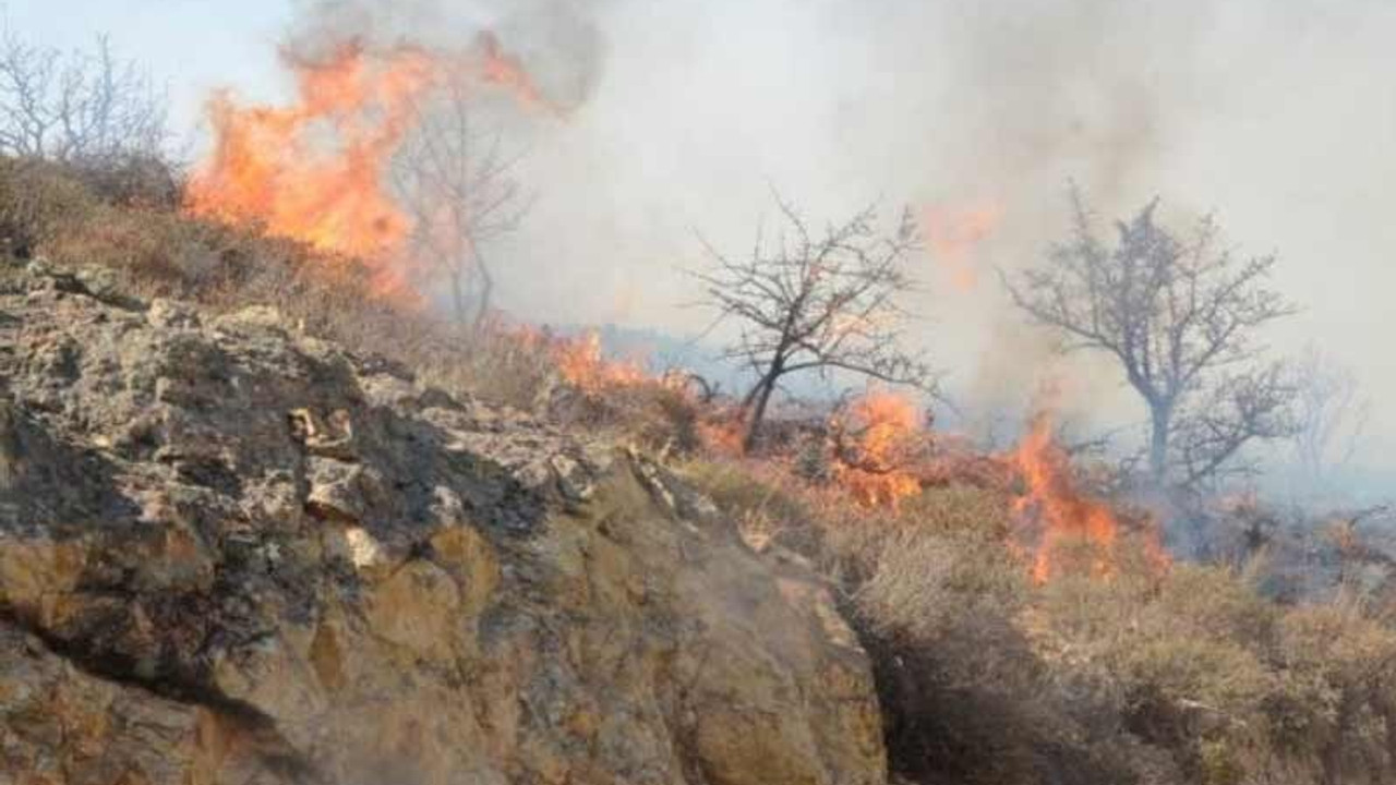 Bodrum'da yangın yerleşim yerlerine ilerliyor