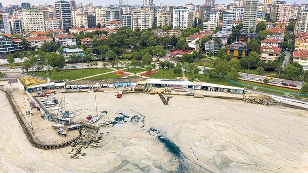 Marmara’daki müsilaj için ‘koloniyal’ uyarısı: Çevre felaketine yol açabilir