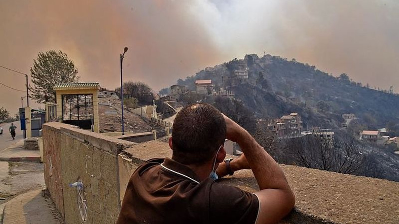 Cezayir'deki orman yangınlarıyla ilgili 22 gözaltı