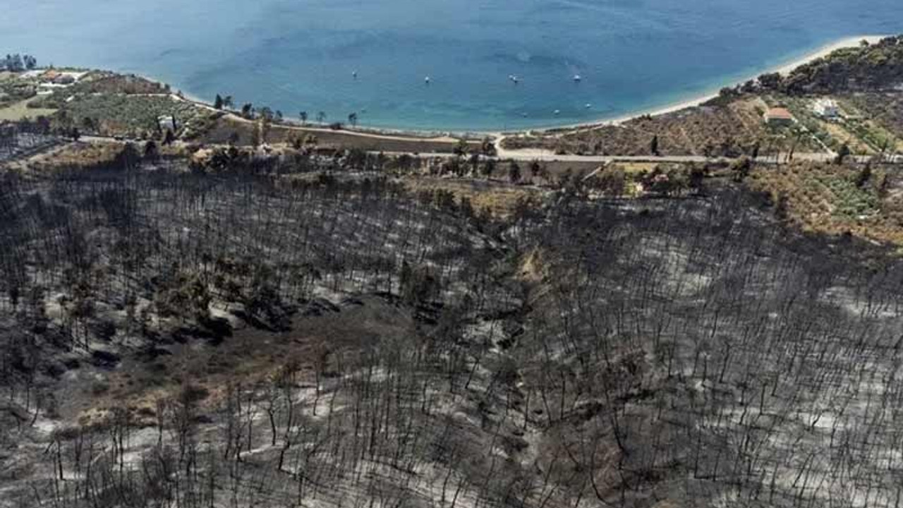 Yunanistan'da hükümet yangınlarla ilgili eleştirilerin ardından, kabine değişikliğine gitti