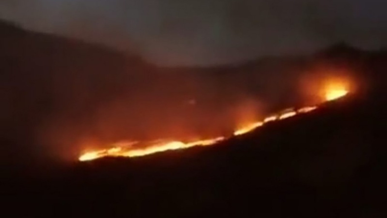 Hakkari Şemdinli'de orman yangını