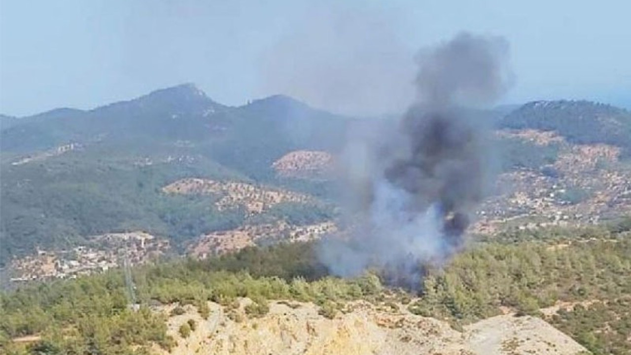 Bodrum'da yangın kabusu sürüyor