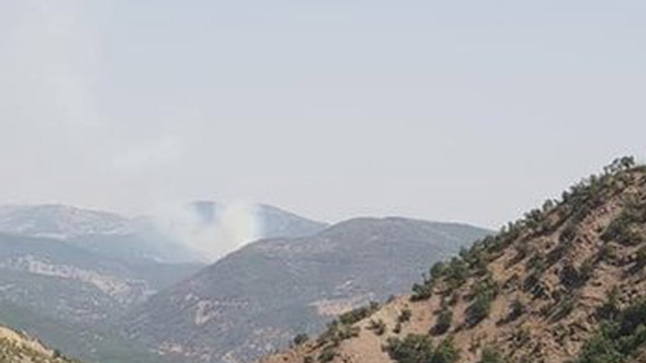 Dersim'deki yangın 8. gününde: Doğamızdan elinizi çekin