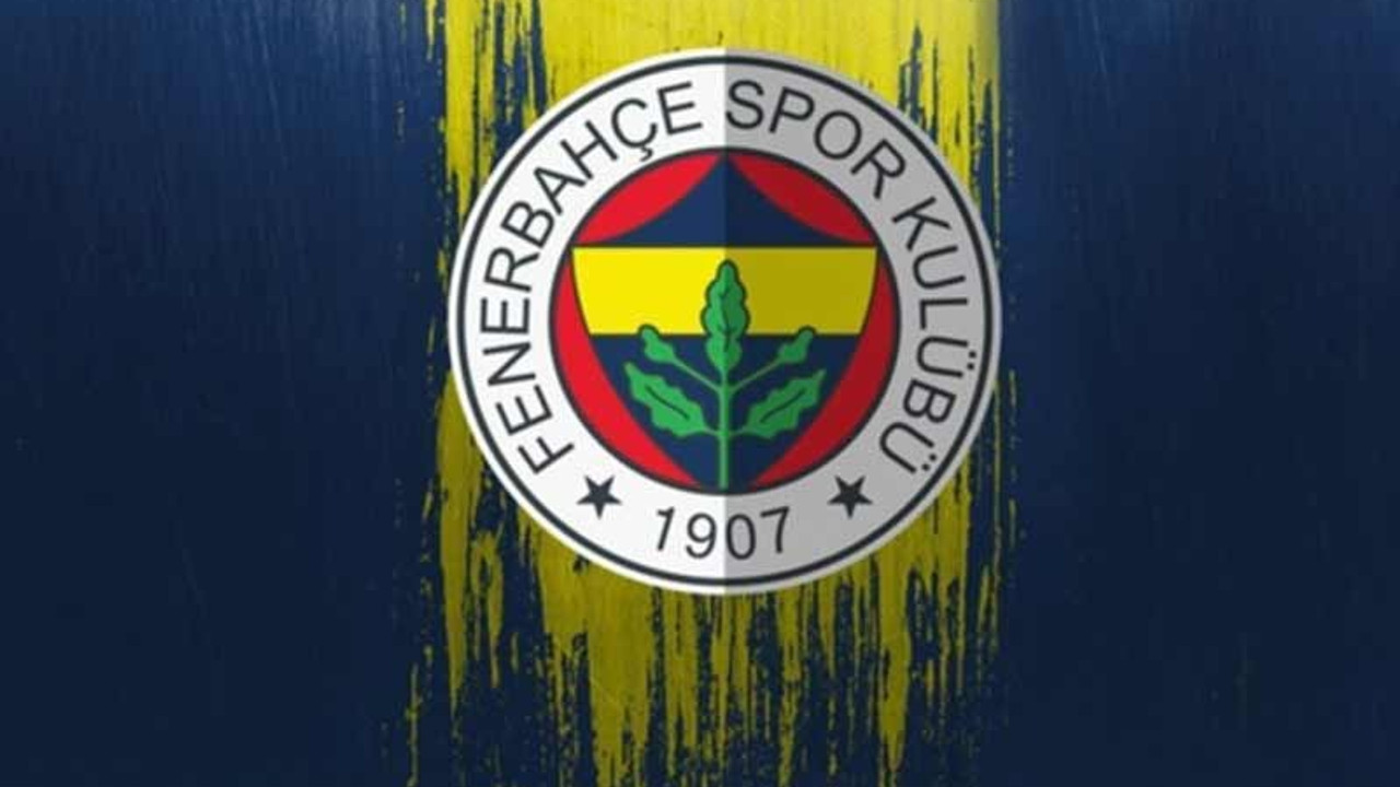 Fenerbahçe SK, kadın futbol takımı kuruyor