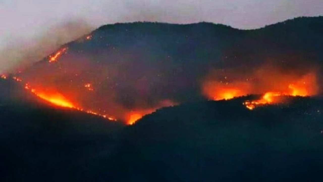 Dersim ve Şırnak'taki orman yangınları için tweet kampanyası