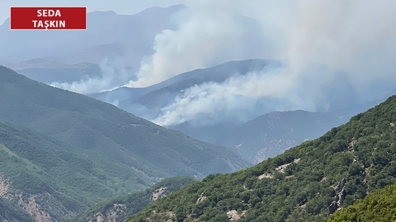 Dersim 11 gündür yanıyor: Geçen her dakika bir canlının yaşamına son veriyor