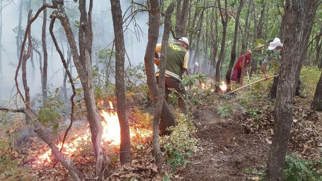 Yurt genelindeki 6 orman yangını kontrol altına alındı, Dersim ise yanmaya devam ediyor