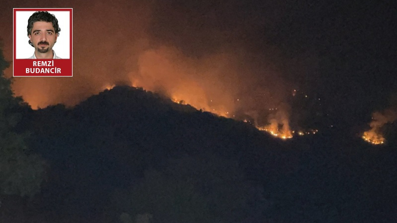 Dersim ve Bingöl’de orman yangınları sürüyor