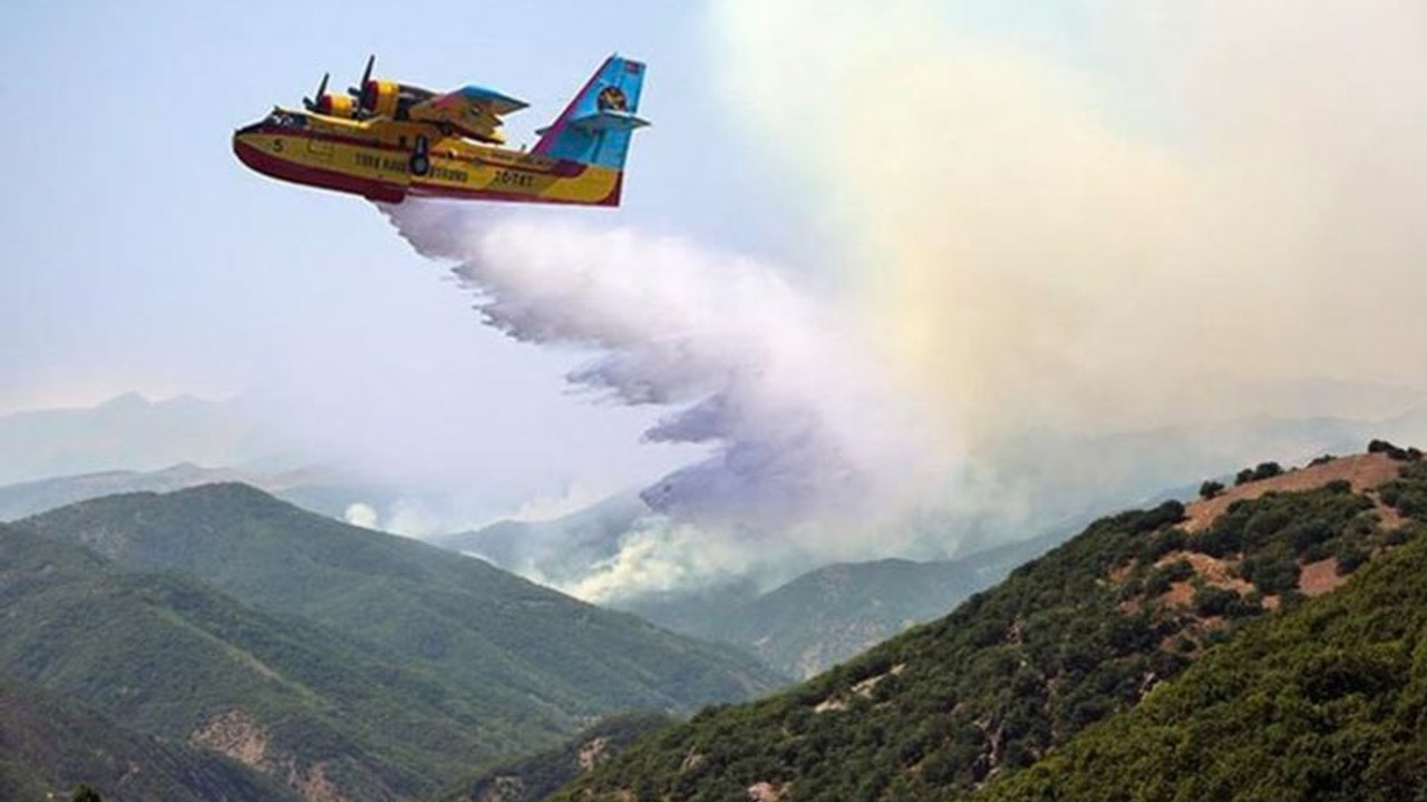 AKP'li başkan Dersim'deki orman yangını 'photoshop'la söndürdü