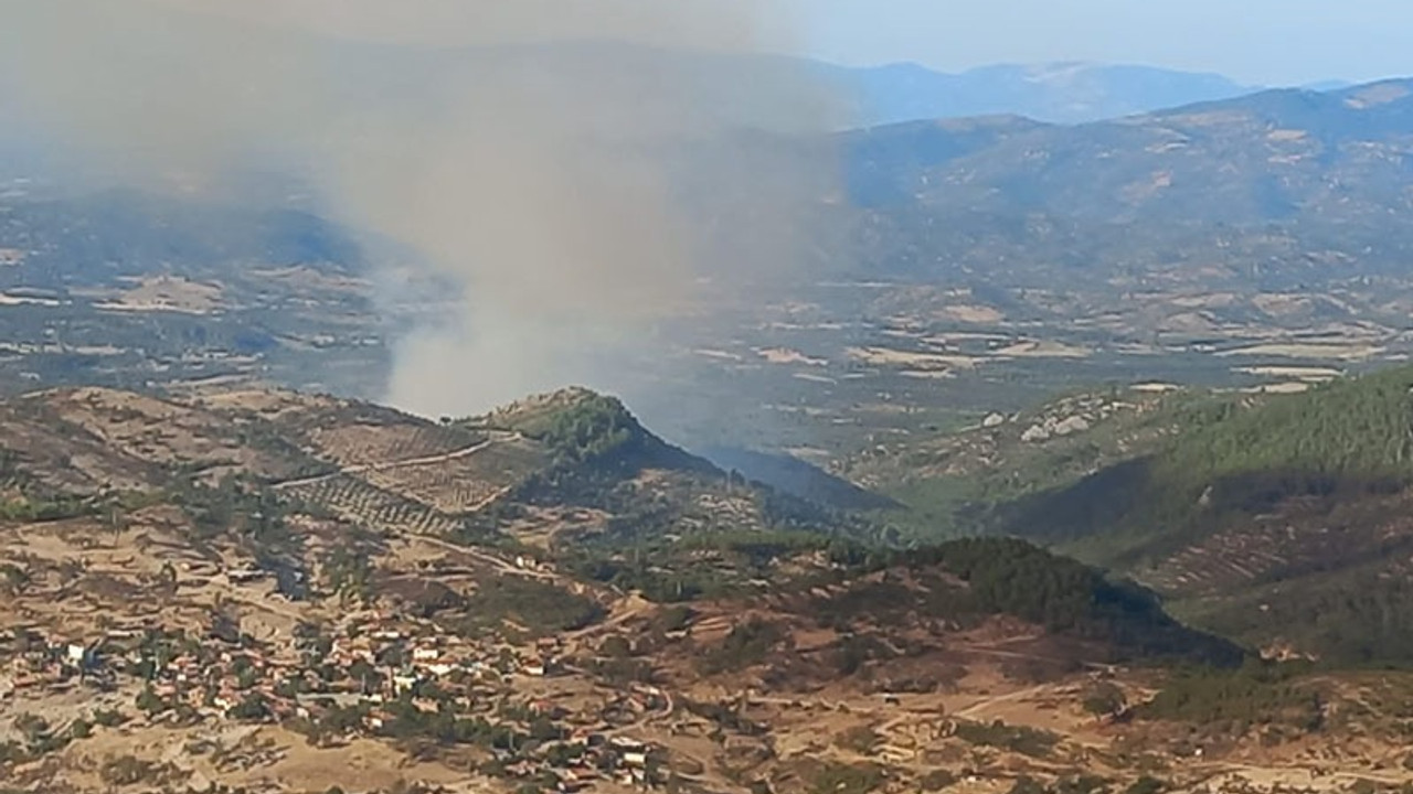 Burhaniye'de orman yangını