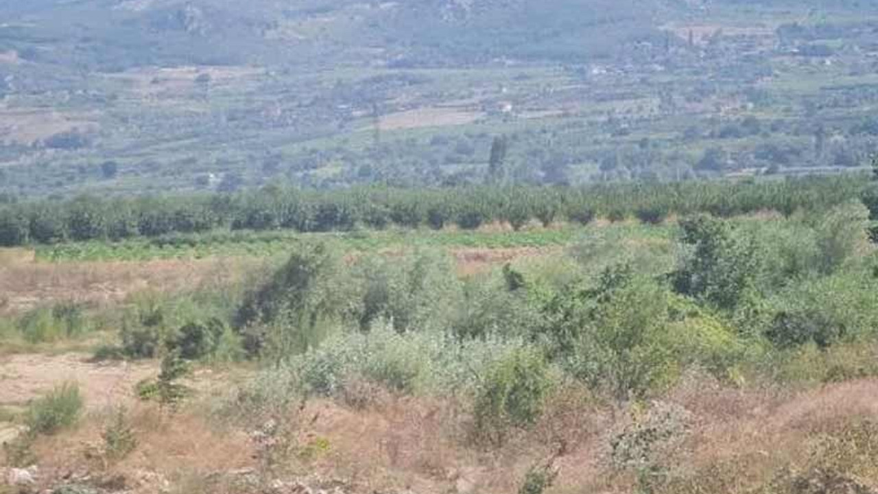 Sakarya'da 'uçak düştü' ihbarı asılsız çıktı