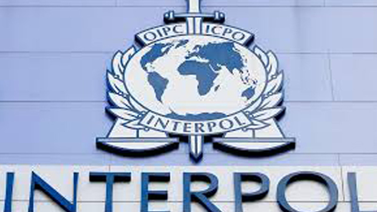 'Interpol self servis bir işletme değil'