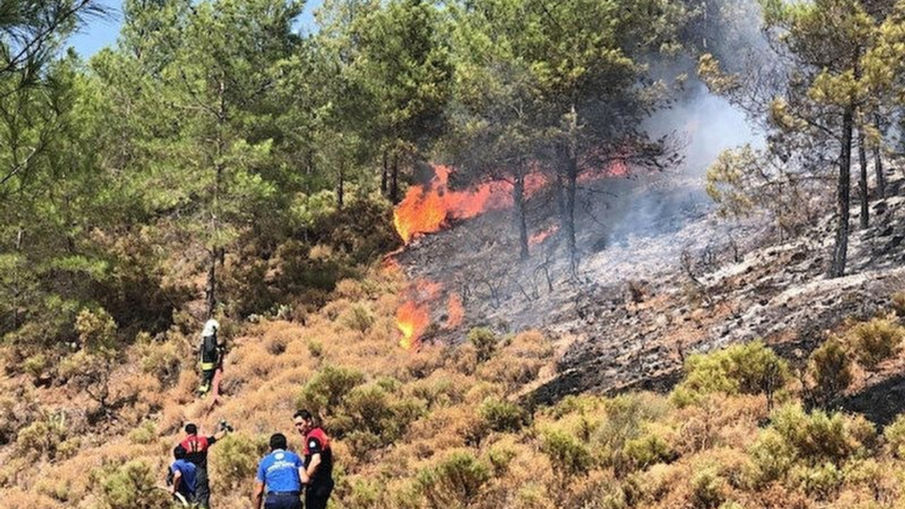 Bakanlık, ormanları yanan Muğla'yı maden, otel ve RES projelerine açtı