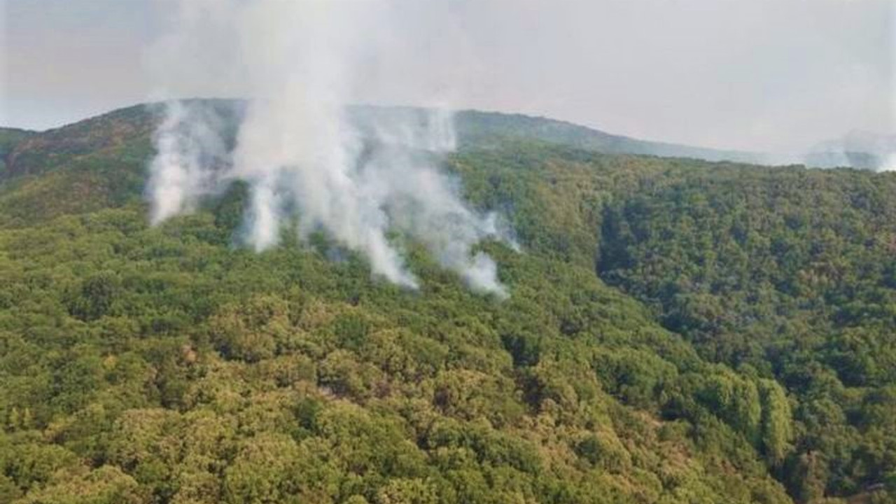 Ekoloji örgütleri Dersim’e gidiyor