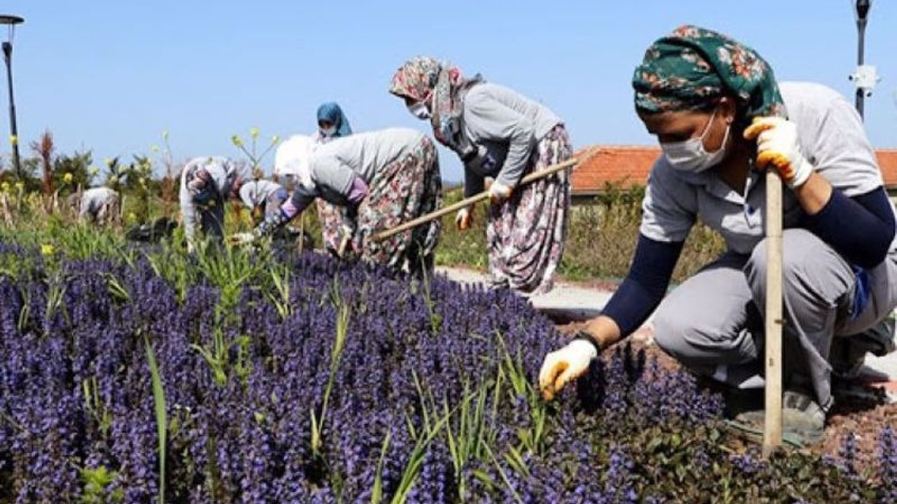 Ekonomide kayıt dışılıkta Mozambik seviyesindeyiz