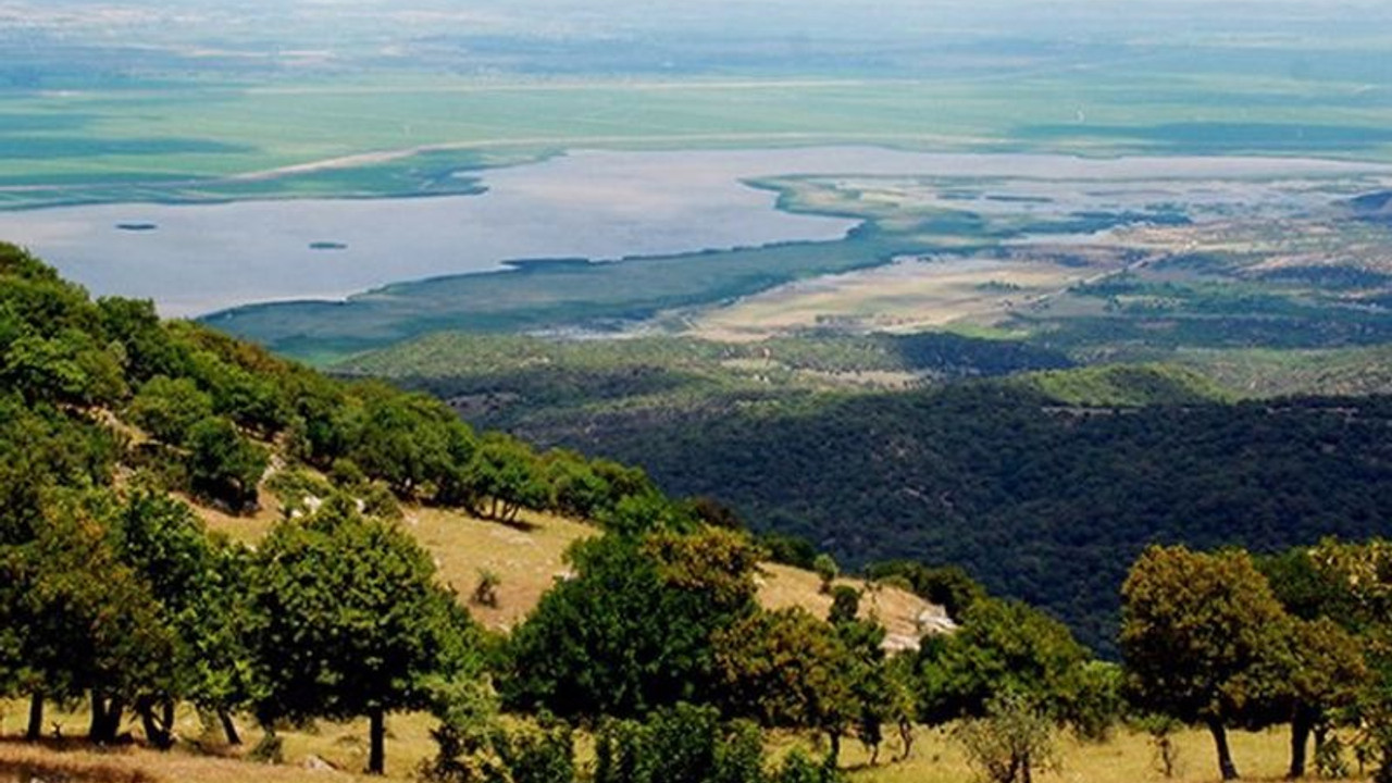 Çevre Bakanlığı, verimli tarım arazisinde plastik üretimine izin verdi