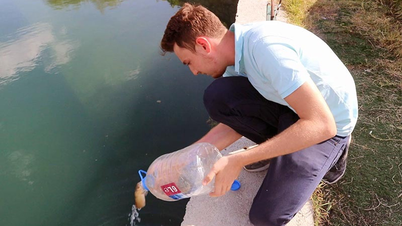 'Ölmesinler' diye pet şişelerle çaydan çaya balık taşıdı