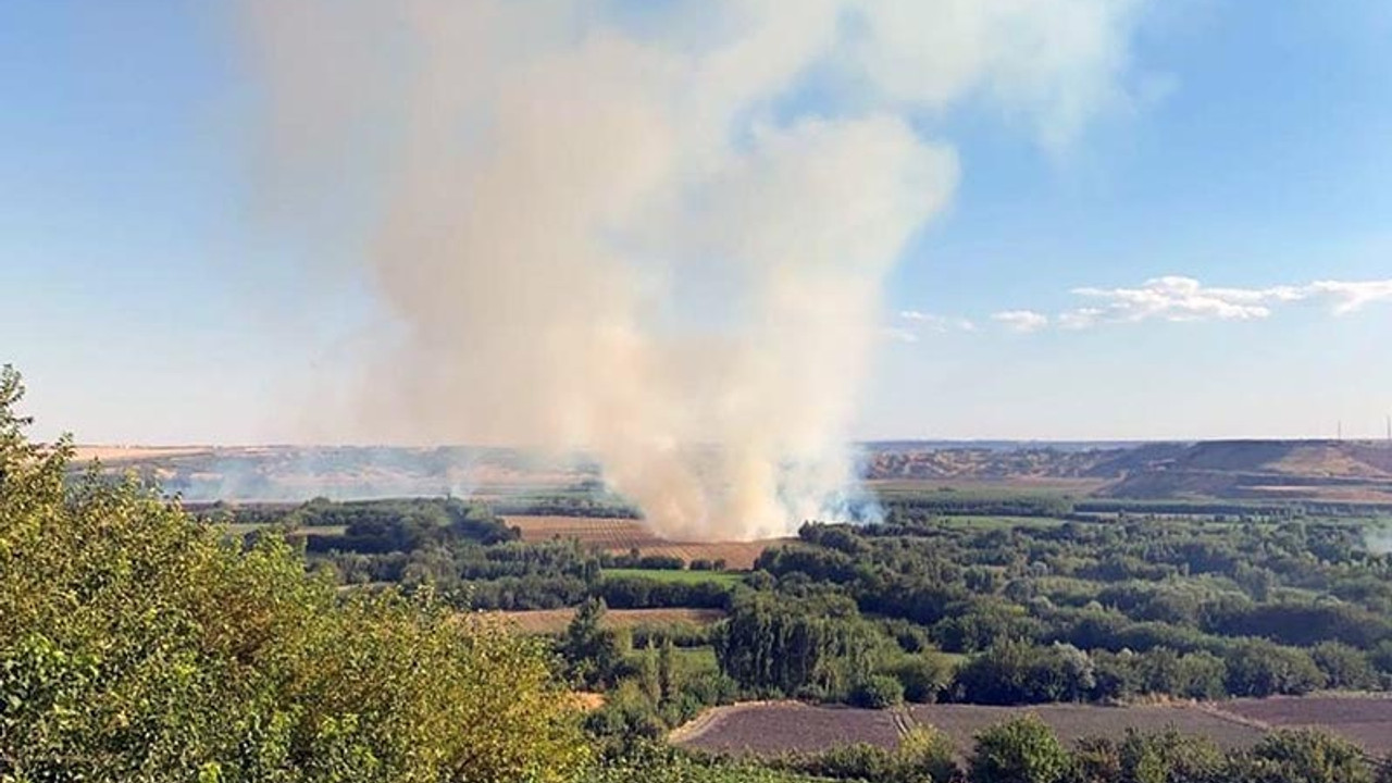 Hevsel Bahçeleri'nde yangın çıktı