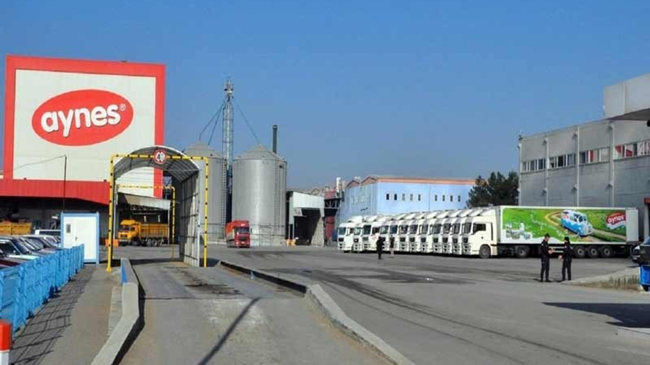 ‘FETÖ’ yağması: 203 milyon euro değer biçilen şirket 65 milyon euroya satılıyor