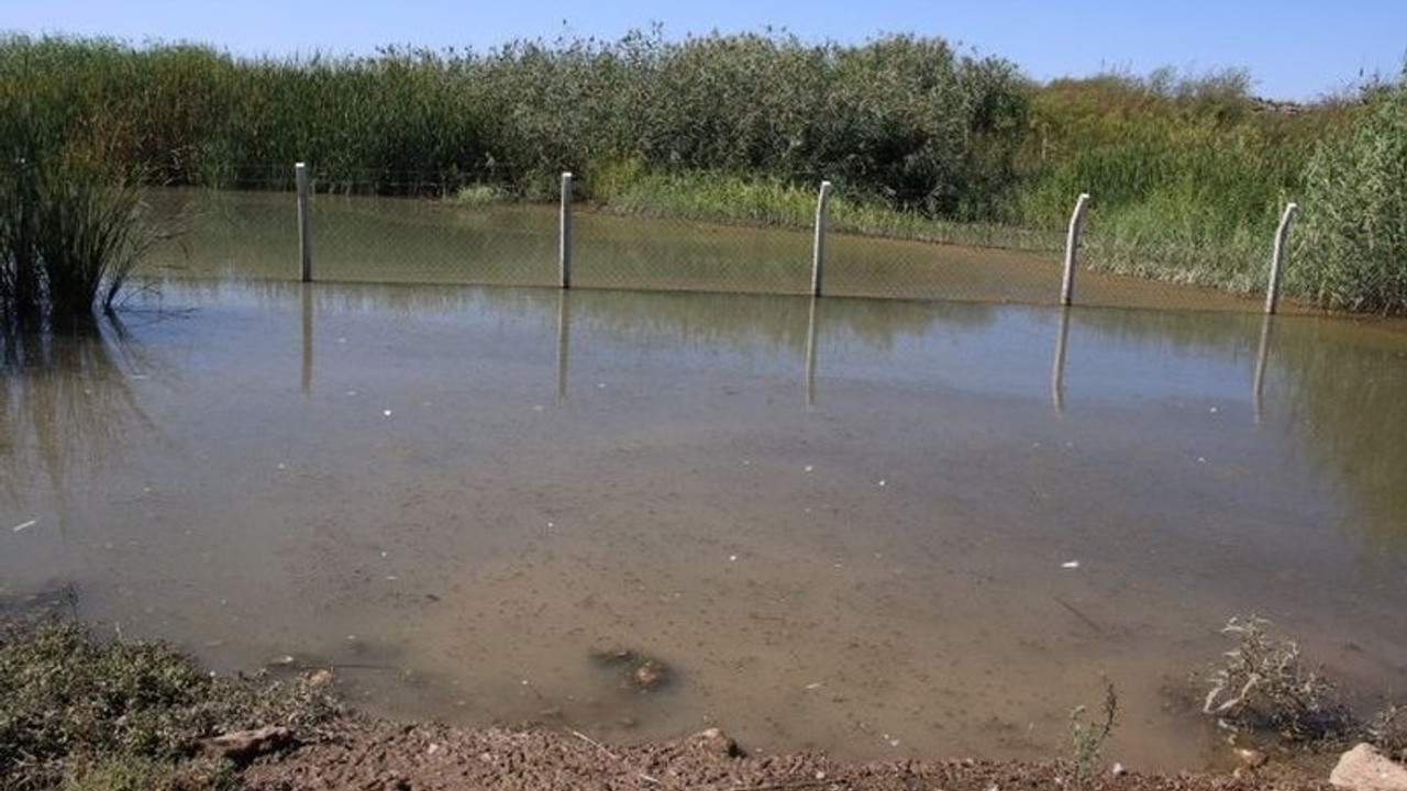 En verimli bölgelerden biri olan Suruç Ovası'nda 20 bin dönüm tarım arazisi sular altında kaldı