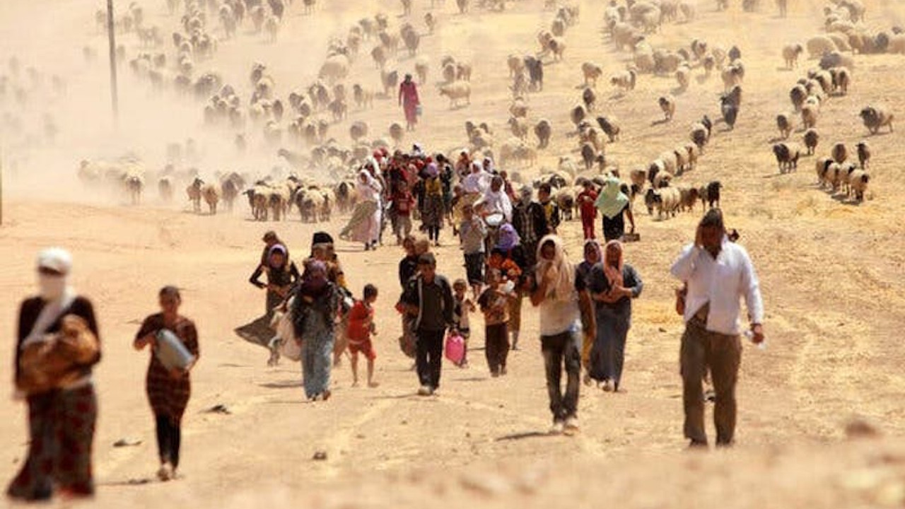 New York Times: 3 bin Ezidi hala kayıp, bir kısmı Türkiye'de esir