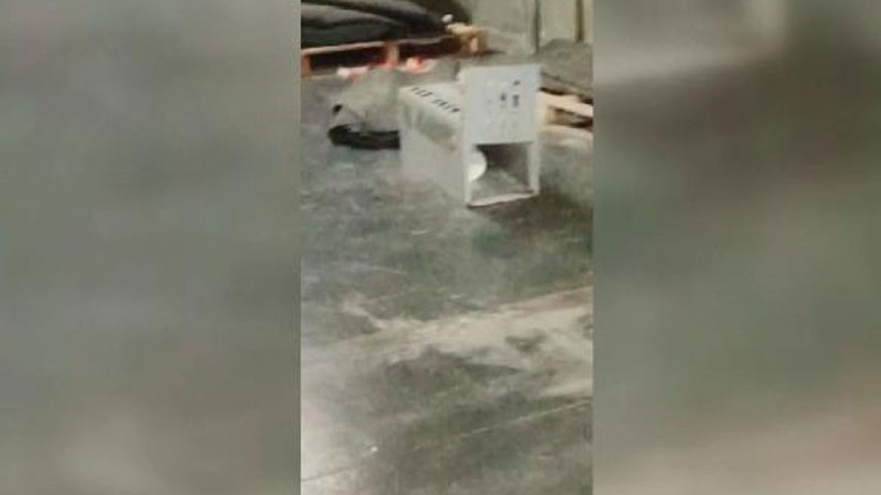 AVM otoparkına 'kedi kapanı'