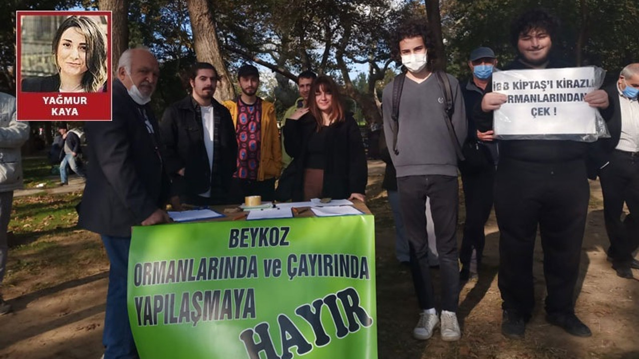 Beykoz Çayırı millet bahçesi yapılmak isteniyor: Doğa ranta kurban ediliyor