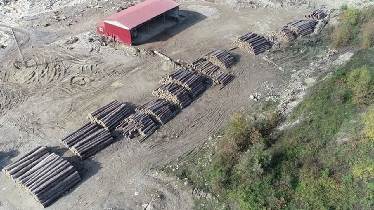 Sinop'taki selde büyük yıkıma yol açan tomruklar dere yatağında, halk tedirgin